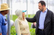 Apoya Alejandro Tello a productores para exportación de 1,500 toneladas de hortalizas