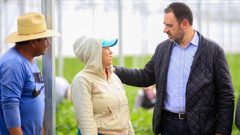 Apoya Alejandro Tello a productores para exportación de 1,500 toneladas de hortalizas