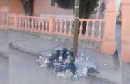 Tiraderos de basura en calles Mazapil generan indignación entre internautas