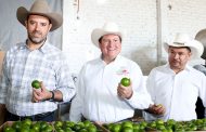 Se compromete Gobernador Tello a fortalecer a los productores de limón