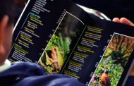 Celebra Guadalupe el día Nacional del libro
