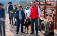 Entregan apoyos del Programa Apoyo a la Mujer Rural en el semidesierto Zacatecanos