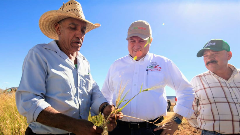 Impulsa Gobierno de Zacatecas tecnificación del campo