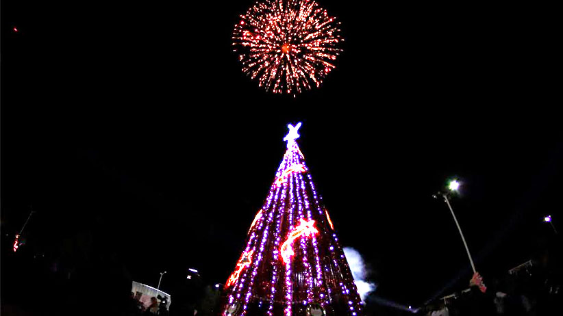 La magia de la navidad llega a Fresnillo con el encendido de 33 árboles