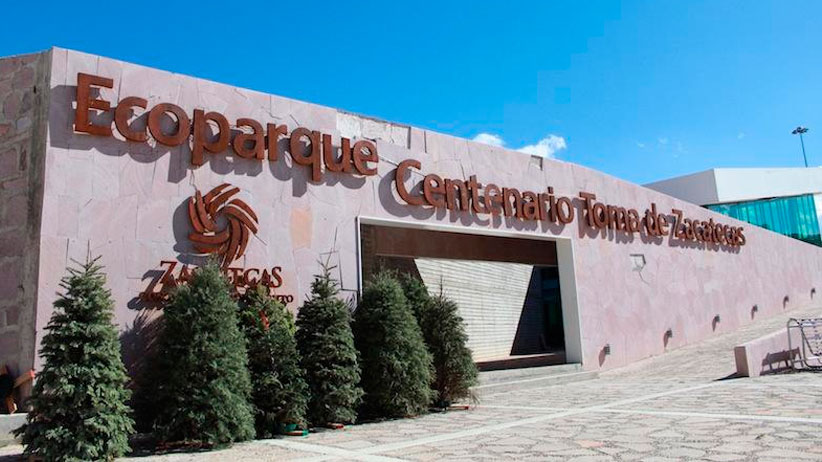 Acopiarán pinos naturales navideños en Ecoparque Centenario