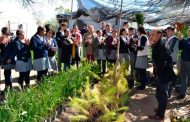 Conmemoración del día de Educación Ambiental
