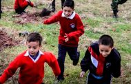 Reanudan actividades más de 44 mil 600 trabajadores de la educación y más de 515 mil estudiantes en Zacatecas
