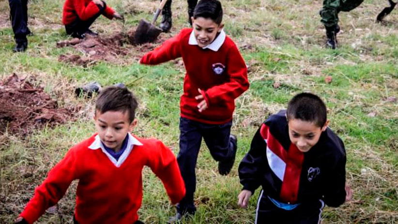 Reanudan actividades más de 44 mil 600 trabajadores de la educación y más de 515 mil estudiantes en Zacatecas