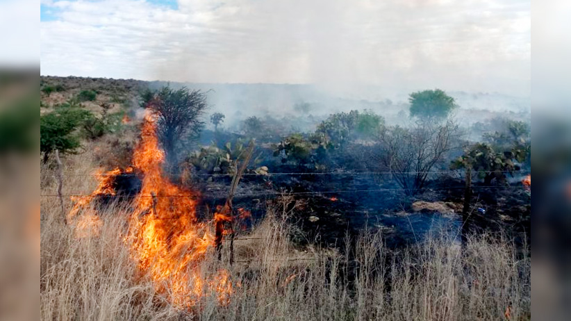 Presenta Protección Civil programa especial para sequía, estiaje e incendios