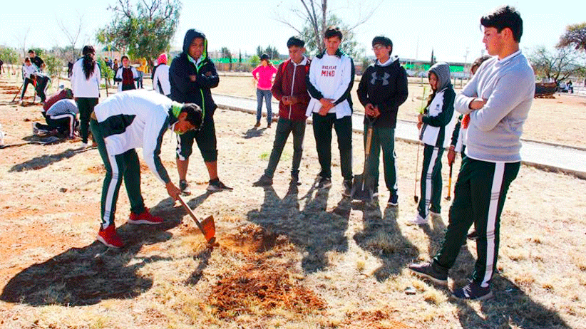 Estudiantes de COBAEZ reforestan parque en Villas de Guadalupe