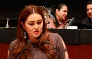 Exhorta Geovanna Bañuelos a la FGR atraiga denuncias contra Miguel Alonso Reyes