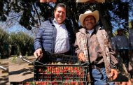 Construye Gobierno del Estado cámara fría para producción de fresa en Villa García