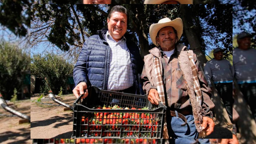 Construye Gobierno del Estado cámara fría para producción de fresa en Villa García
