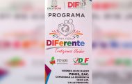 Invitacion a la Feria Diferente en Pinos.