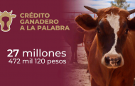27 mdp entregados a través del Crédito Ganadero a la Palabra