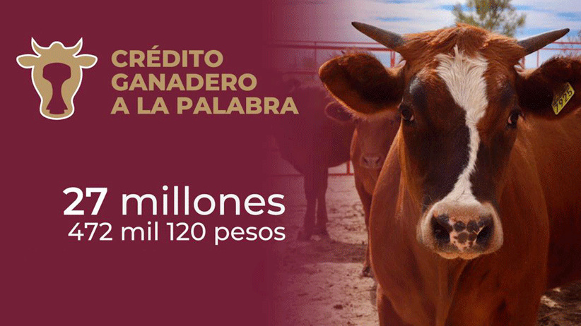 27 mdp entregados a través del Crédito Ganadero a la Palabra