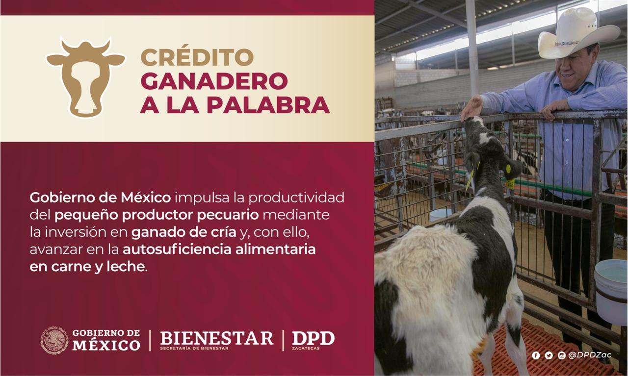 Convocatoria Sader Credito Ganadero A La Palabra aipz.mx