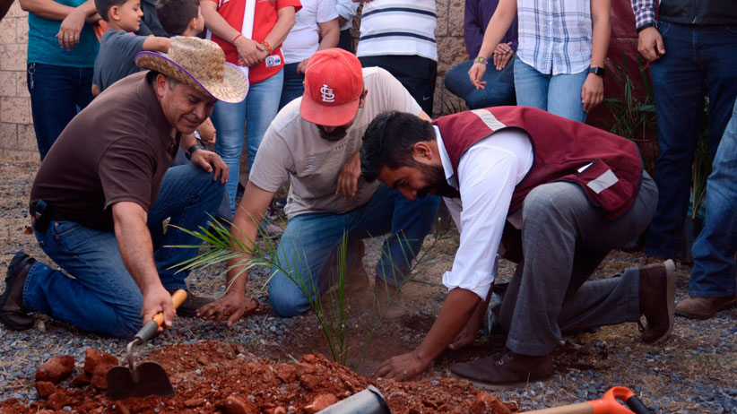 Continúa campaña de reforestación por parte del Ayuntamiento de Guadalupe