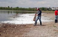 Atiende el Ayuntamiento la problemática de la laguna en La Zacatecana