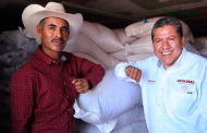 En Fresnillo y Valparaíso, David Monreal dio inicio a la distribución de 3 mil toneladas de semilla de avena
