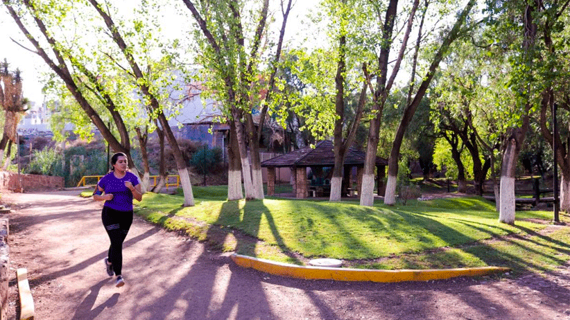 Al 70 por ciento rehabilitación del Parque Arroyo de la Plata