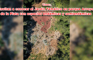 Video: Invitan a conocer el Jardín Temático en Parque Arroyo de la Plata con especies endémicas y semiendémicas