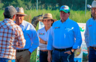 Instala Gobierno Estatal módulos para maximizar aprovechamiento de suelo y agua en la producción de forrajes y hortalizas
