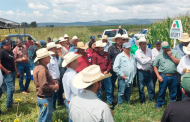 Realizan demostración de semillas en Villanueva