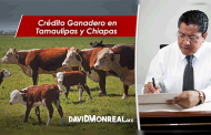 Crédito Ganadero en Tamaulipas y Chiapas