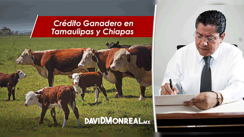 Crédito Ganadero en Tamaulipas y Chiapas