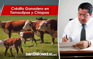 Crédito Ganadero en Tamaulipas y Chiapas