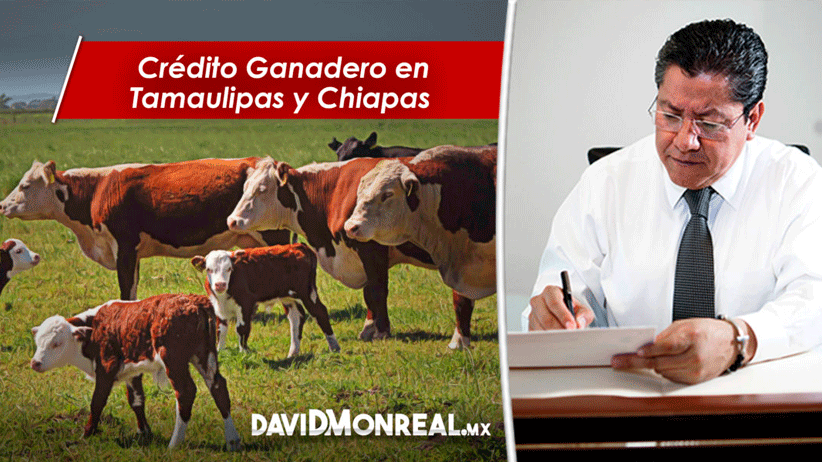 Crédito Ganadero en Tamaulipas y Chiapas