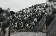 Se registran primeras nevadas en Mazapil