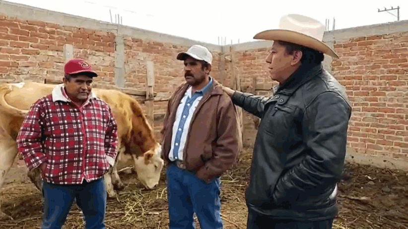 Crédito Ganadero a la Palabra genera mayores condiciones de bienestar para los pequeños ganaderos y sus familias: David Monreal Ávila