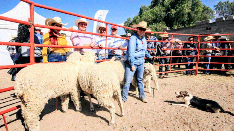 Invierte Gobierno de Tello más de 45 mdp para impulsar al campo en Valparaíso