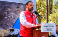 Trabaja Alejandro Tello en la preservación del Águila Real en México