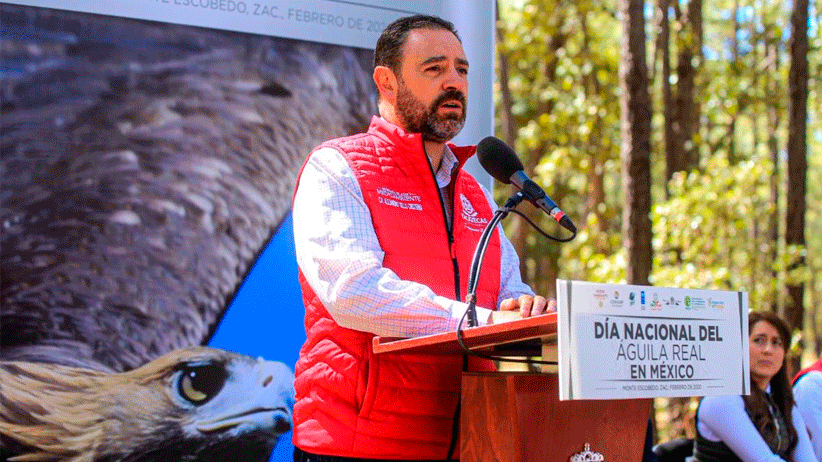 Trabaja Alejandro Tello en la preservación del Águila Real en México