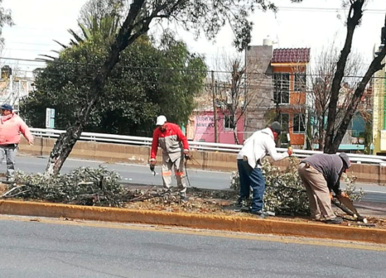 Trabajadores del Gobierno Estatal dan mantenimiento al bulevar Metropolitano