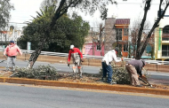 Trabajadores del Gobierno Estatal dan mantenimiento al bulevar Metropolitano