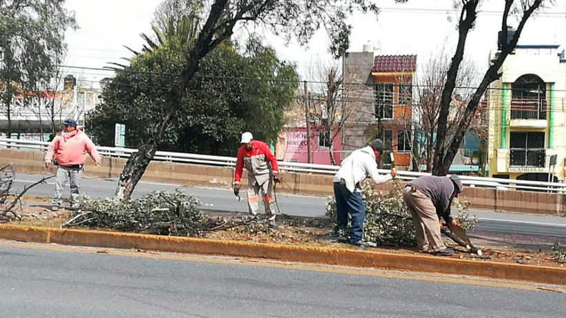 Trabajadores del Gobierno Estatal dan mantenimiento al bulevar Metropolitano