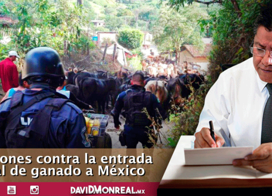Más presupuesto sanitario, presencia de la GN y colaboración con Guatemala