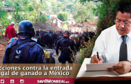 Más presupuesto sanitario, presencia de la GN y colaboración con Guatemala