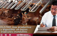  Investigadores mexicanos desarrollan nueva variedad de pasto para ganado