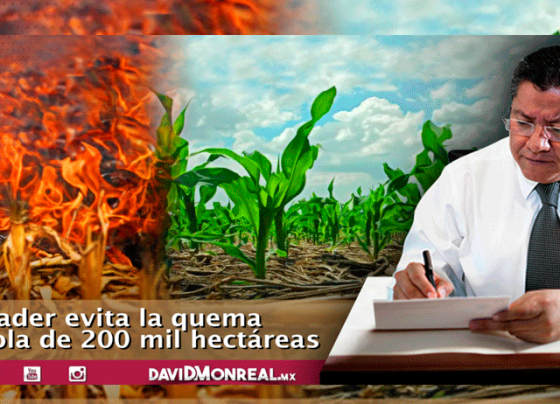 SADER evita la quema agrícola de 200 mil hectáreas
