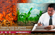 SADER evita la quema agrícola de 200 mil hectáreas