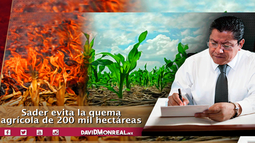 SADER evita la quema agrícola de 200 mil hectáreas