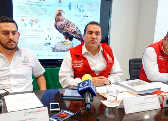 Gobierno de Tello busca declaratoria de Área Natural Protegida del suroccidente del Estado.
