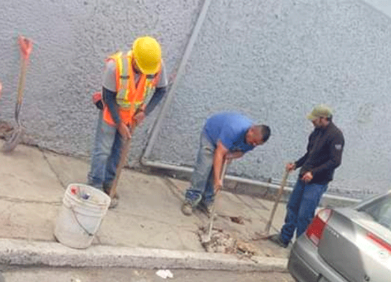 Con acciones permanentes, seguimos embelleciendo La Joya de la Corona: Ulises Mejía Haro