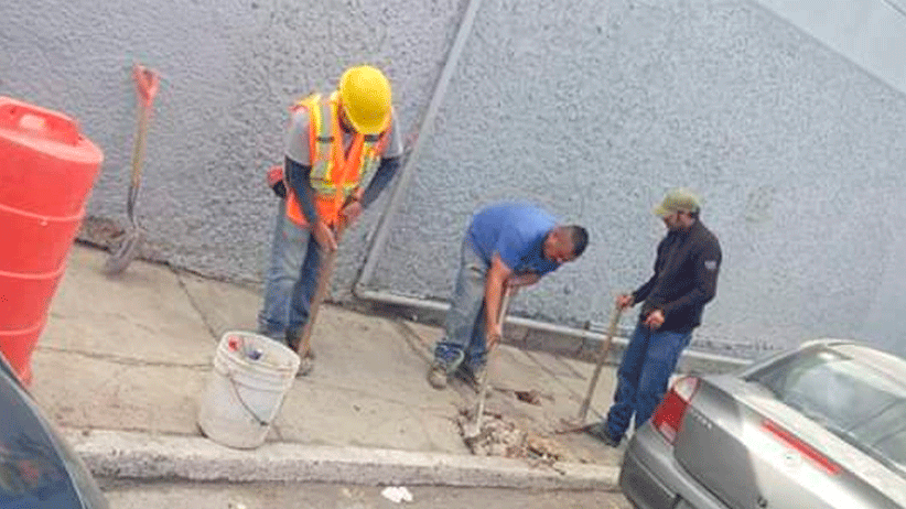 Con acciones permanentes, seguimos embelleciendo La Joya de la Corona: Ulises Mejía Haro