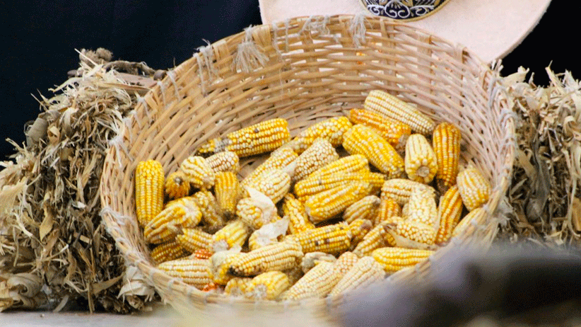 Con más apoyos para el campo impulsamos el desarrollo rural  en Zacatecas : Ulises Mejía Haro